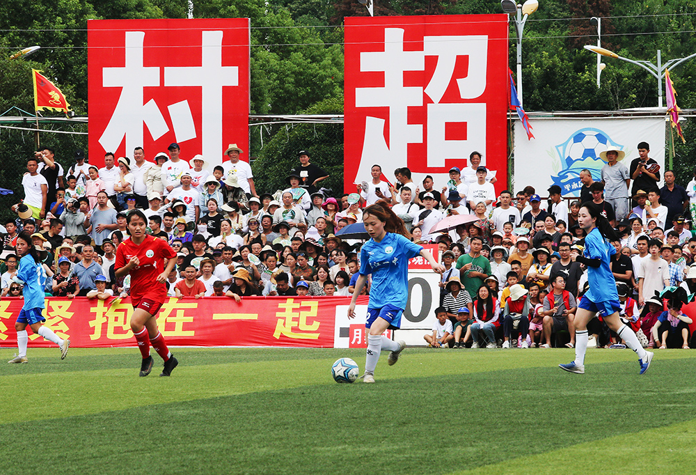 多面表现无 多面表现无