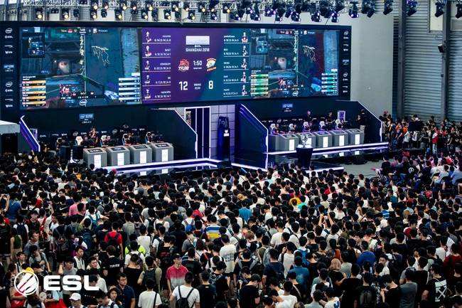 绿茵能量 绿茵能量